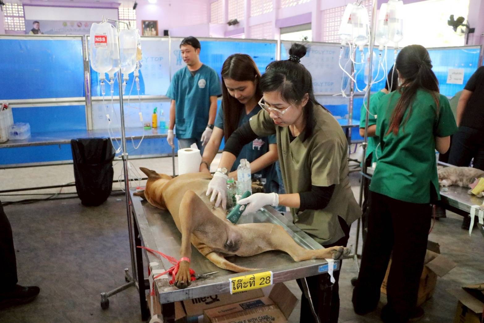 title - ส.ป.ก.ร่วมติดตาม รัฐมนตรีช่วยว่าการกระทรวงเกษตรและสหกรณ์ (นายนเรศ ธำรงค์ทิพยคุณ) ลงพื้นที่ตรวจราชการในพื้นที่ ณ ตำบลช่างเคิ่ง อำเภอแม่แจ่ม จังหวัดเชียงใหม่